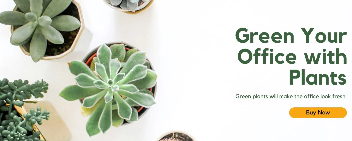 3-2 green youroffice